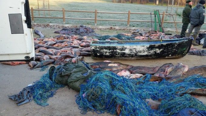 Trei romani au golit de peste un lac din Italia, folosind cabluri electrice. 