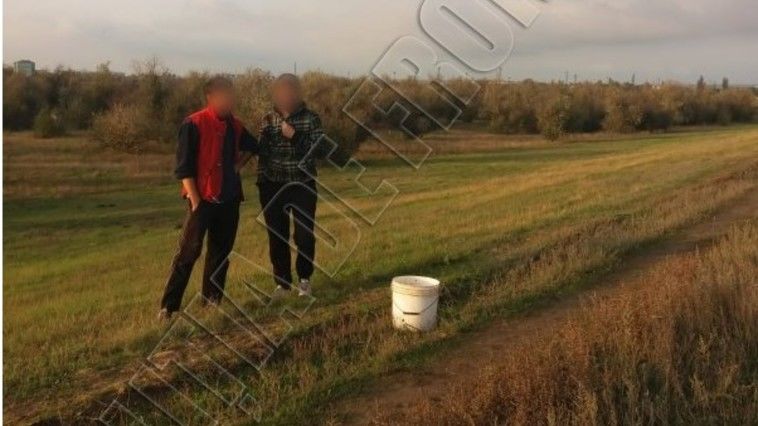 Двое молодых людей отправились собирать грибы и оказались на Украине.