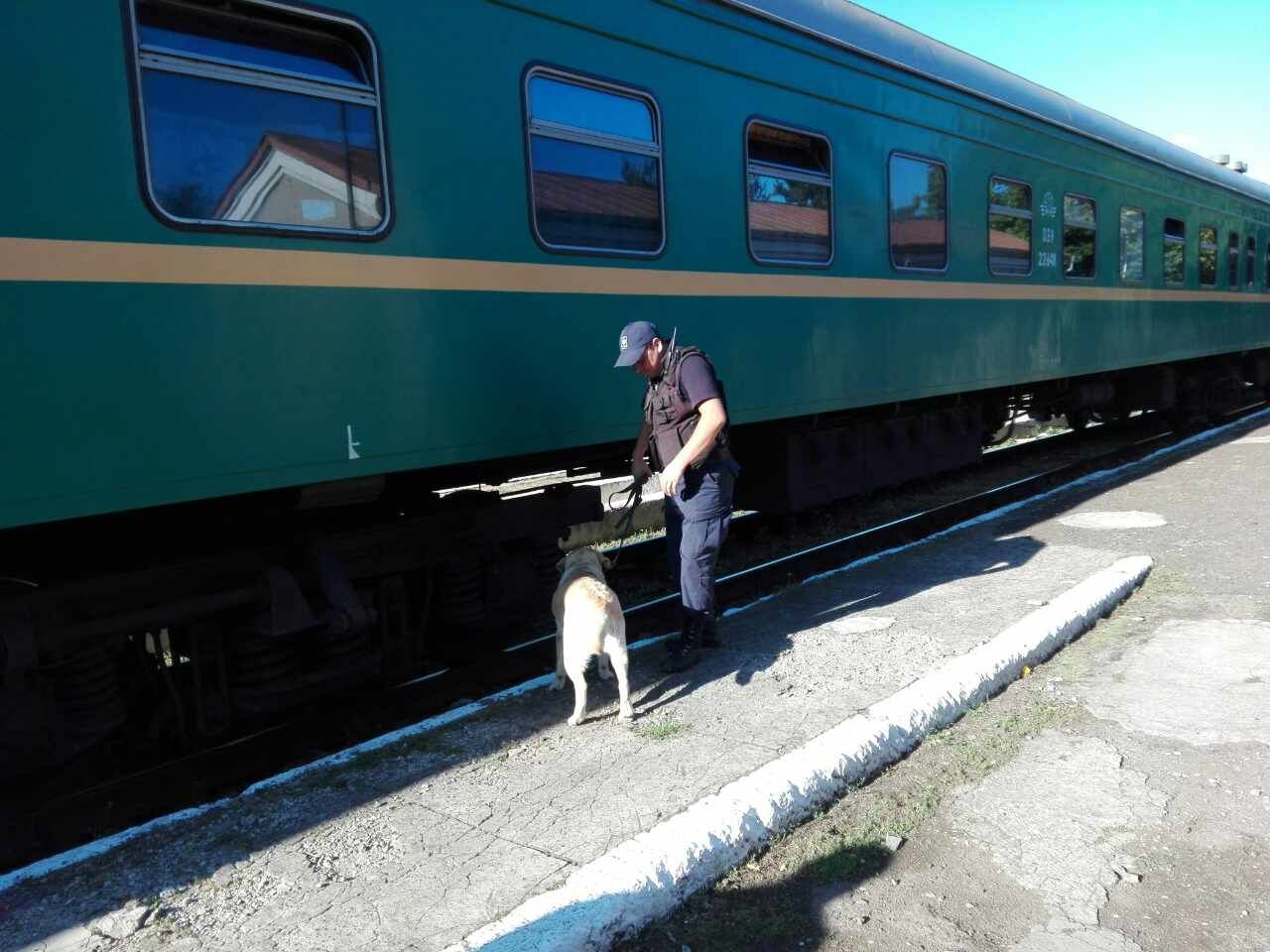 Marijuană descoperită în trenul de pe ruta "Chișinău-Moscova".