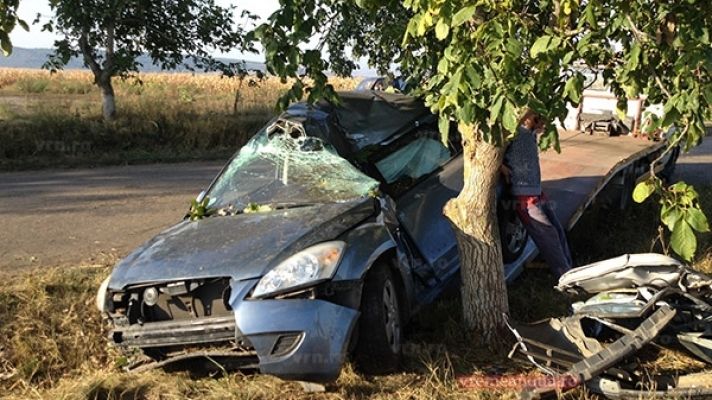S-a izbit violent într-un copac. Foto simbol: romaniatv.net