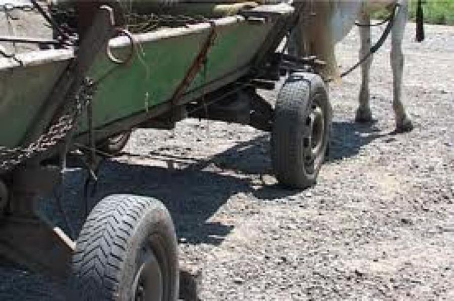 Făcea contrabandă cu ţigări ascunse într-o căruţă. Foto: iata-libera.ro