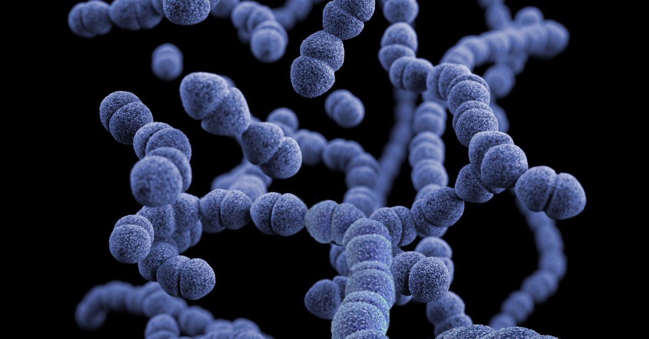 Oamenii de știință au descoperit secretul rezistenței unei bacterii periculoase la antibiotice.