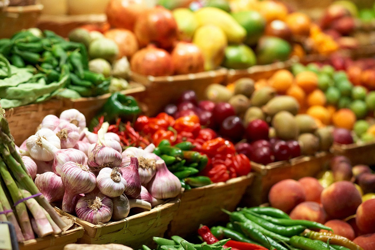 Производство сельхозпродукции в Молдове выросло в первом полугодии на 8,9%.