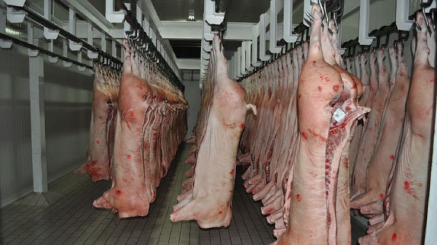 Peste 7,5 tone de carne de porc, reținute la frontiera timp de un an