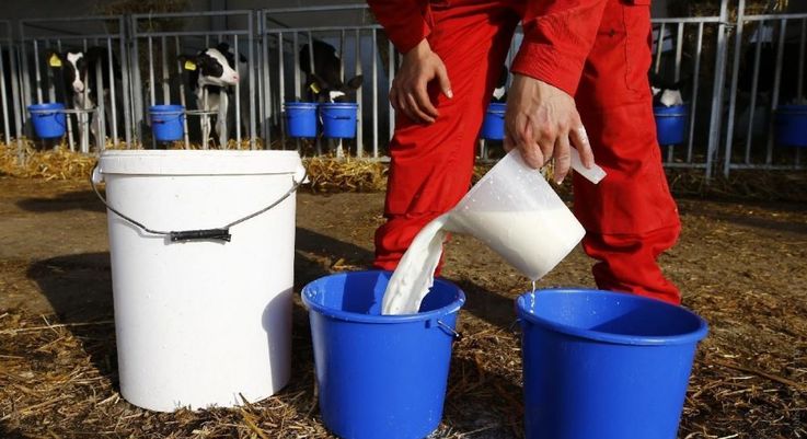 R. Moldova rămâne a fi cel mai mare consumator de lapte din Ucraina