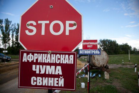 Карантин, введенный из-за вспышки африканской чумы свиней в селе Рубленица, Сорокского района, снят.
