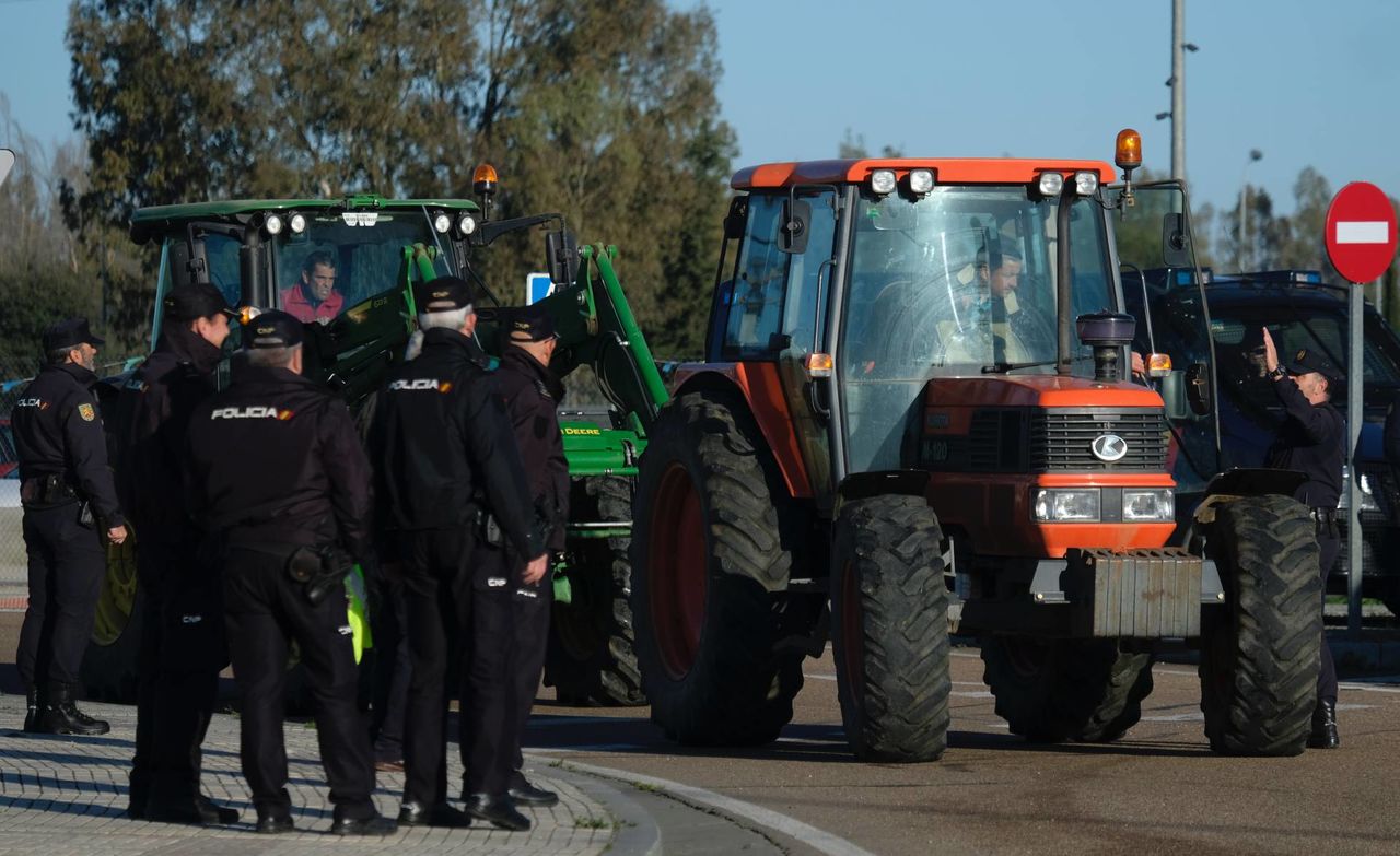 Фермеры заблокировали дороги в Испании, они против низких цен на овощи и фрукты.