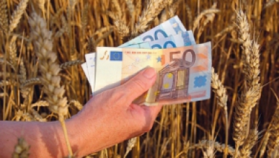 Mii de moldoveni accesează fonduri externe pe care le investesc în ferme, livezi, sere sau alte afaceri din agricultură.