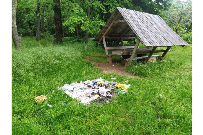 Агентство Moldsilva требует соблюдения порядка в лесах.