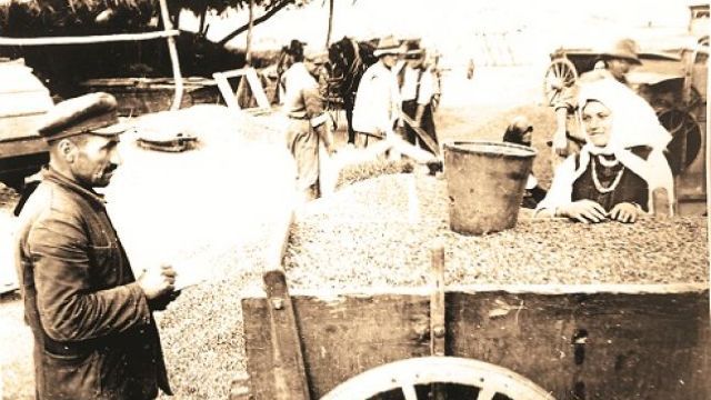 Bărbatul susține că atunci când a revenit cu mama sa la fosta lor gospodărie, în 1956, nu au mai găsit nimic, toate construcțiile fiind ruinate.
