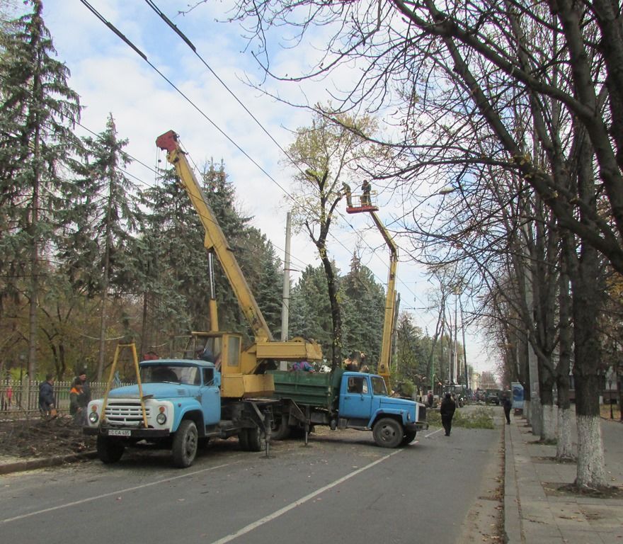 Во время санитарной очистки деревьев движение транспорта будет организовано по одной полосе. Фото: Chisinau.md.