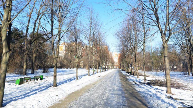 Concert inedit pe o alee din parcul Valea Trandafirilor din Capitală