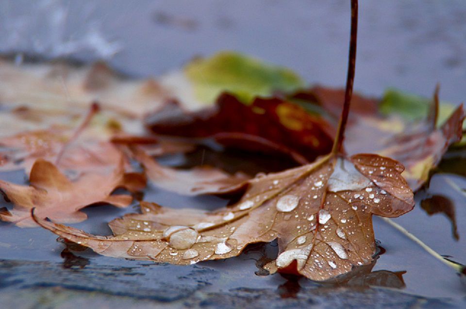 Temperaturi în scădere în următoarele zile. Foto: moldova24.info