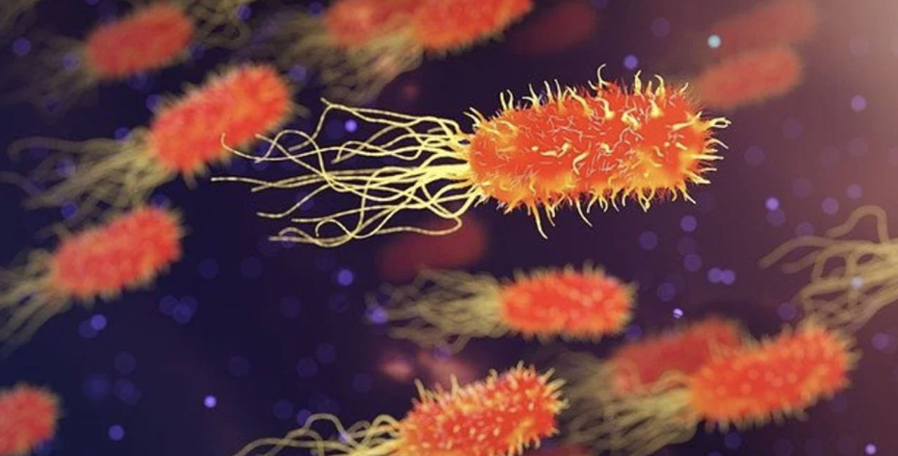 Sfârșitul erei superbacteriilor: CRISPR readuce bacteriile la vulnerabilitatea față de antibiotice.