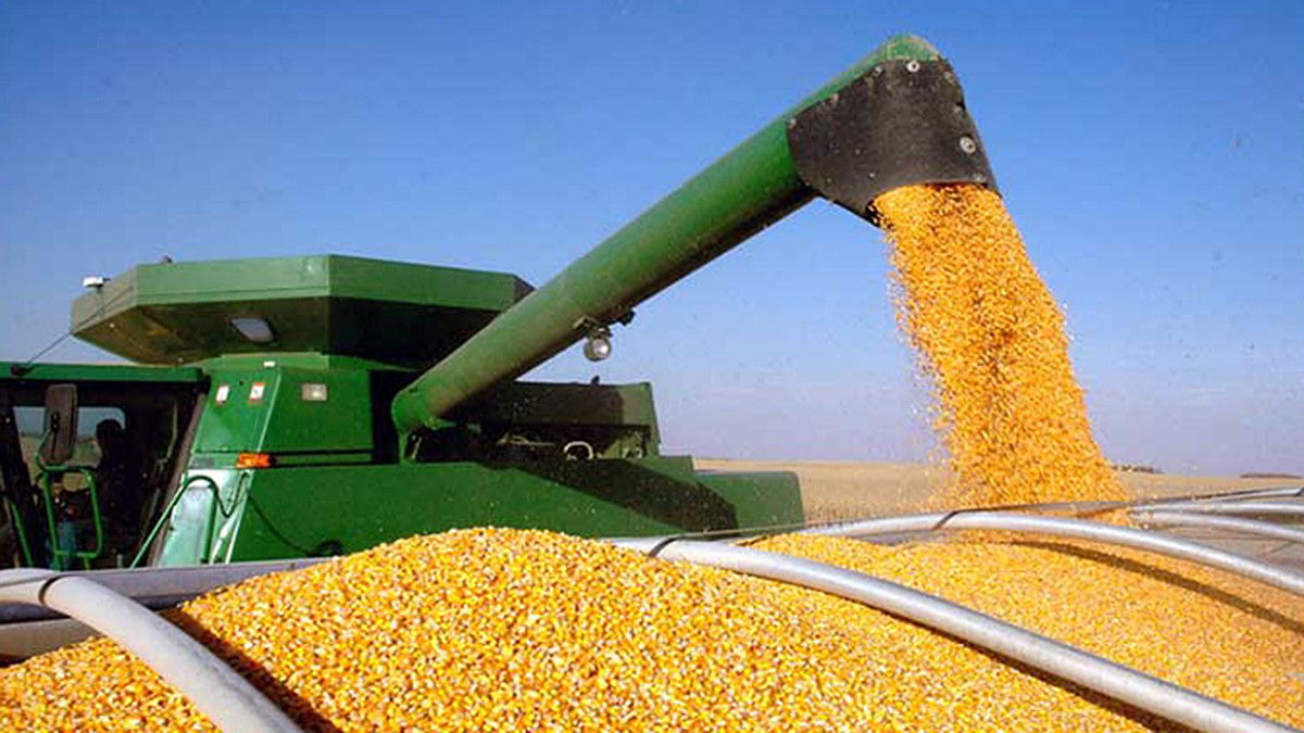 Первые грузовики с украинской кукурузой добрались через Молдову до Галаца.