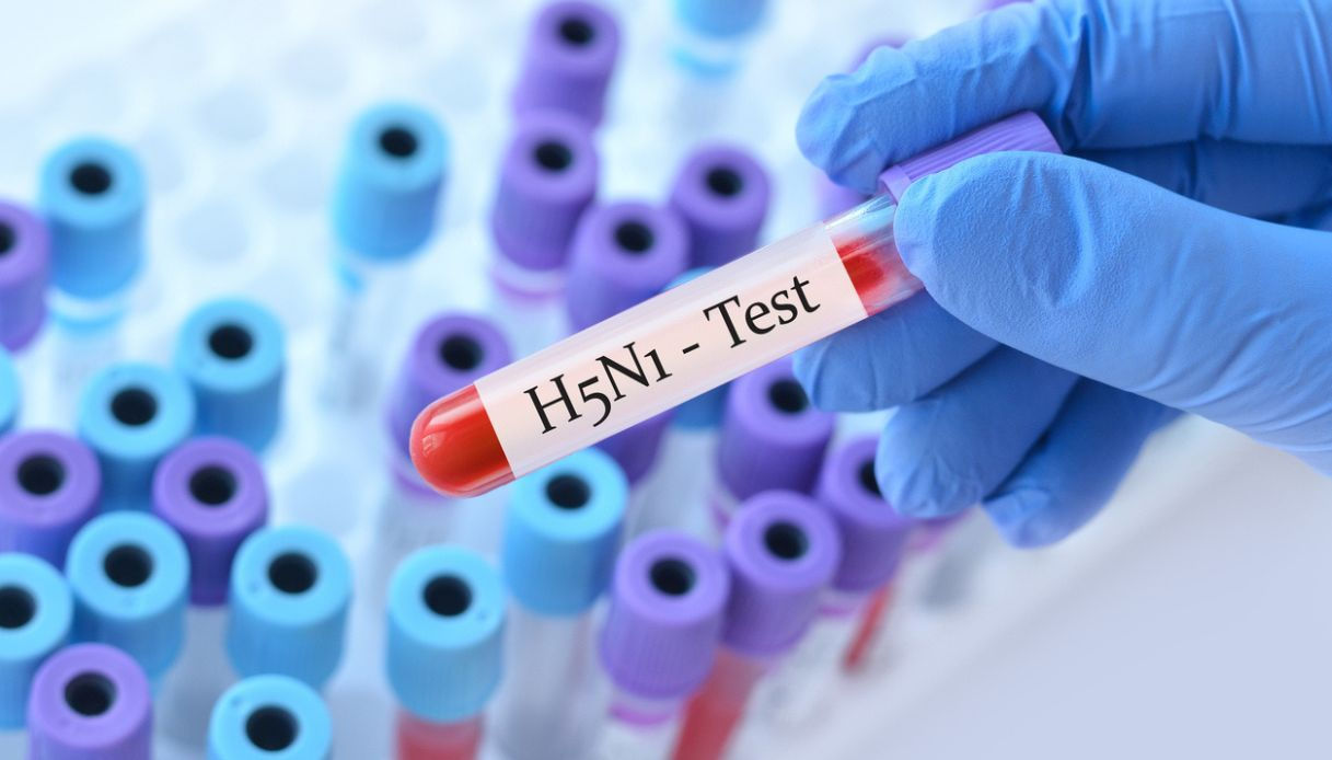 OMS: Gripa aviară nu va deveni o epidemie.