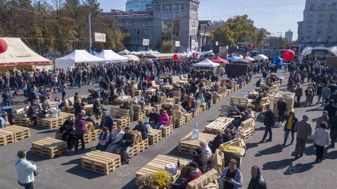 Власти установят 21 мусорный контейнер по периметру ПВНС в День вина.