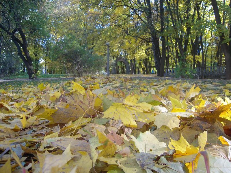 Potrivit prognozelor sinopticienilor, vremea frumoasă îi va mai bucura pe locuitorii ţării pînă la finele acestei săptămîni, iar apoi valorile termice vor scădea, relatează NOI.md.