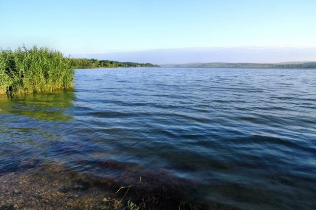 Lacul Beleu din Rezervația Naturală Prutul de Jos riscă să dispară. Foto: ziarulnational.md