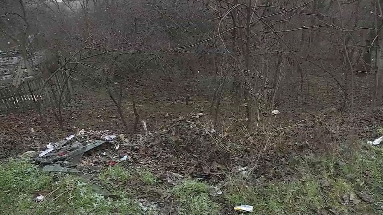 Parcurile Capitalei, gropi de gunoi. Oamenii aruncă deşeuri fără rușine