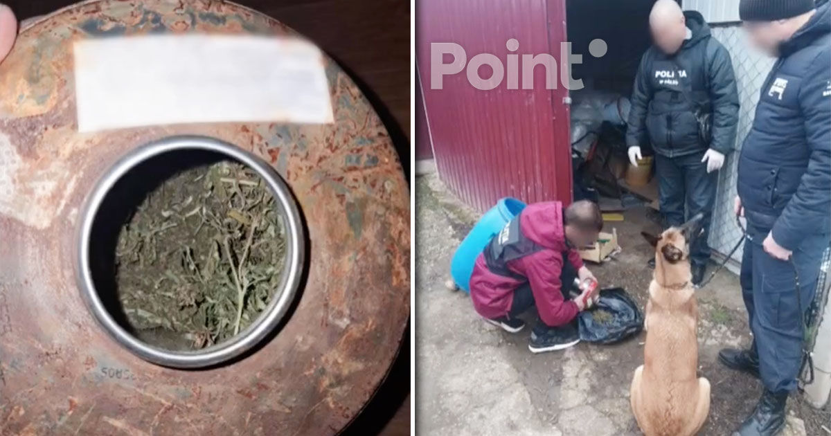 Doi bărbați, depistați de polițiști cu substanțe interzise la Fălești.
