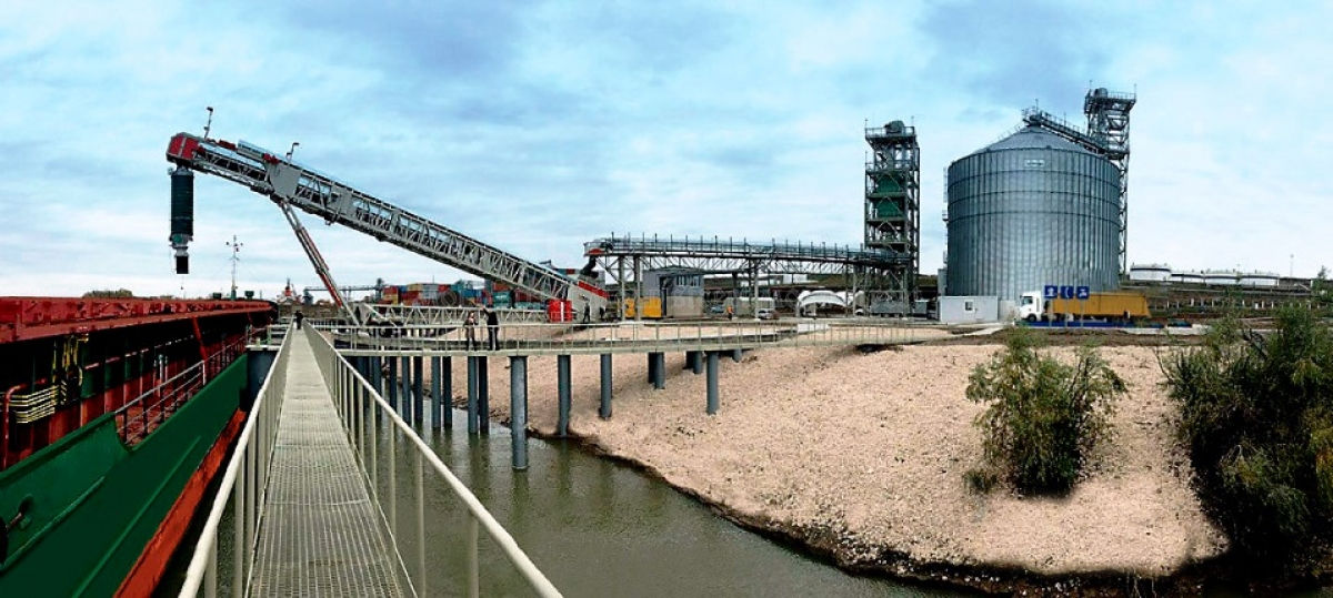 Exportul de semințe în loc de ulei: Procesarea de floarea-soarelui își pierde rentabilitatea.