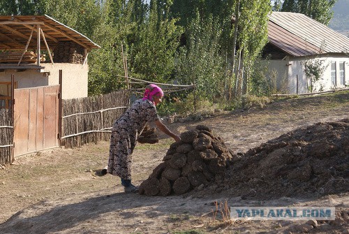 Тонна угля  стоит в среднем три тысячи леев, а дрова - около 600 леев за кубометр. Фото: yaplakal.com.