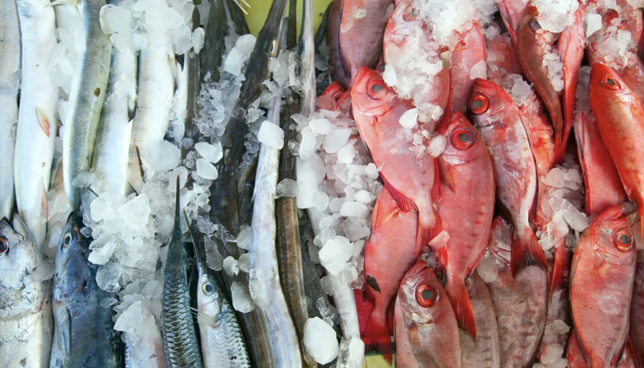 ФАО: С товарной рыбой и морепродуктами часто связаны случаи мошенничества.