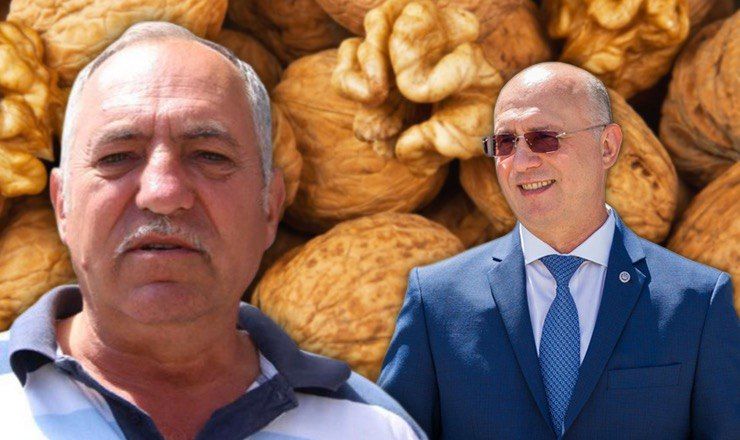 Производитель орехов из РМ обвиняет бывшего премьер-министра Павла Филипа в монополии в отрасли экспорта орехов.