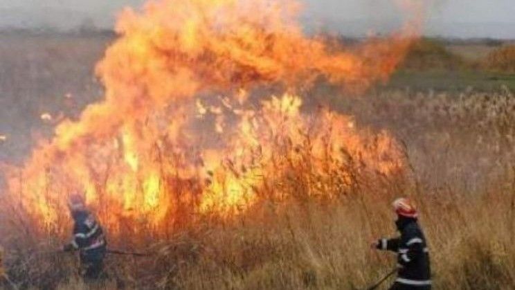 За прошедшие сутки в Молдове выгорели 350 га растительности.