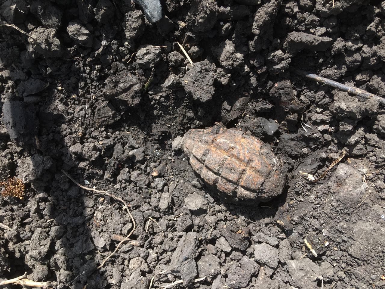Гранату времен войны нашел житель Комрата в своем огороде.