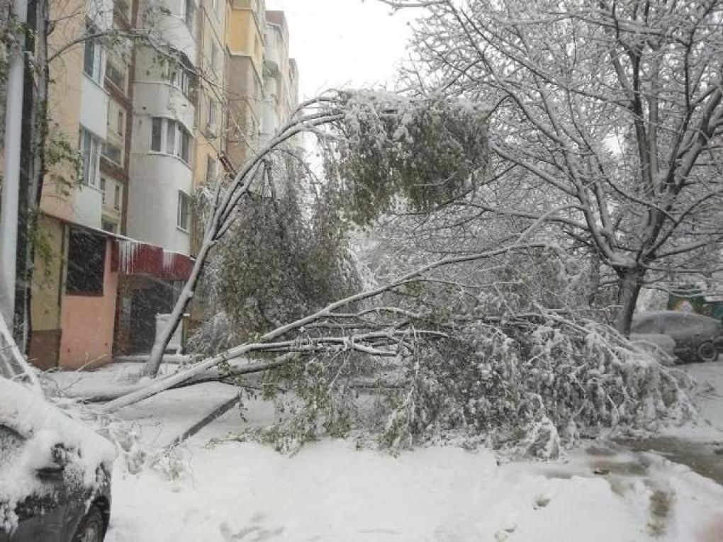 Copacii căzuți au creat blocajele unor străzi. Foto:martor ocular