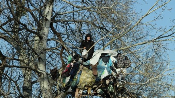 В Киеве пенсионер три года живет на дереве.