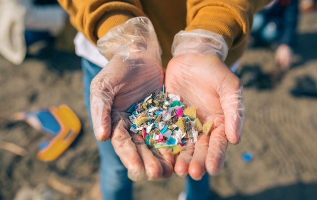 Pădurile rurale sunt pline de microplastice: Experții avertizează asupra riscurilor pentru sănătate.