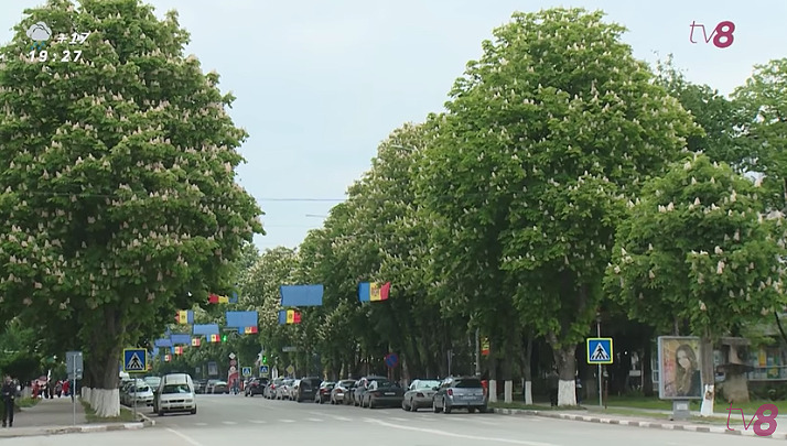 В это время цветут каштаны, и запах распространяется по всему городу.