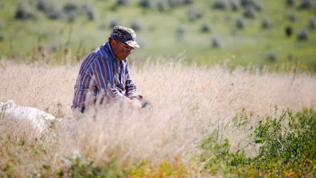 Munca la ţară s-a intensificat în ultimele zile din cauza vremii. Foto: publika.md