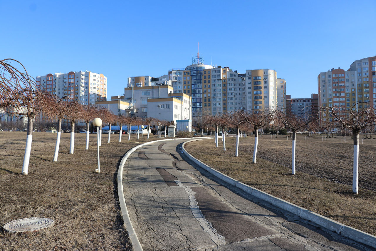 В Молдове вновь начнется короткое потепление в пятницу.
