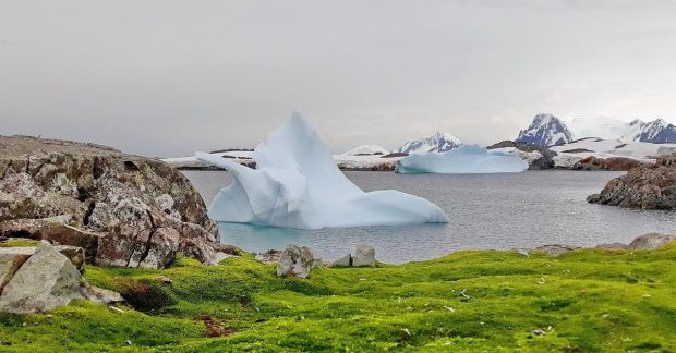 Temperaturile din Antarctica, cu 30 de grade mai ridicate față de normal.
