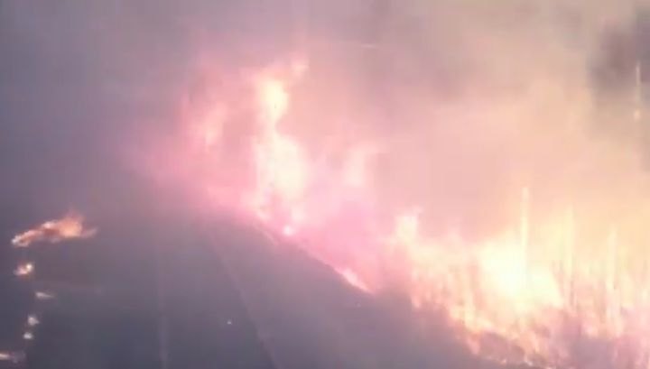 Прорыв поезда через горящий лес в России попал на видео.