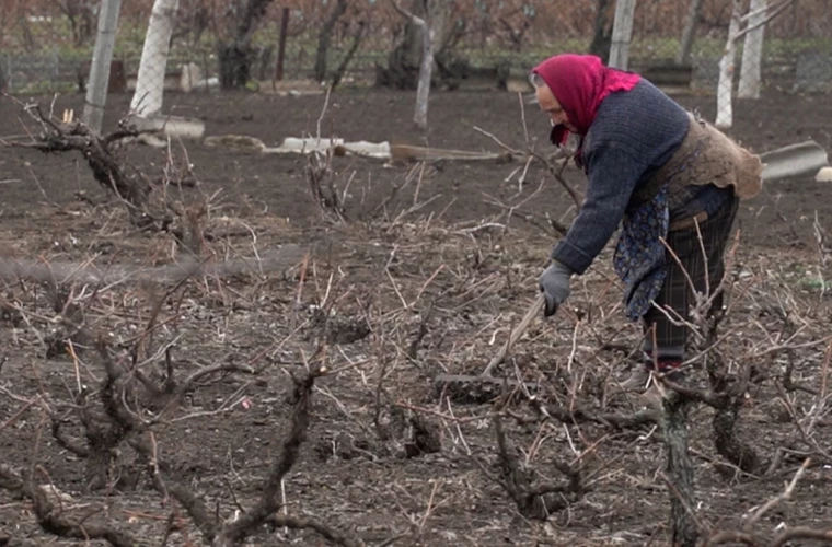 В Молдове сельские жители готовят сады и огороды к весенним работам.