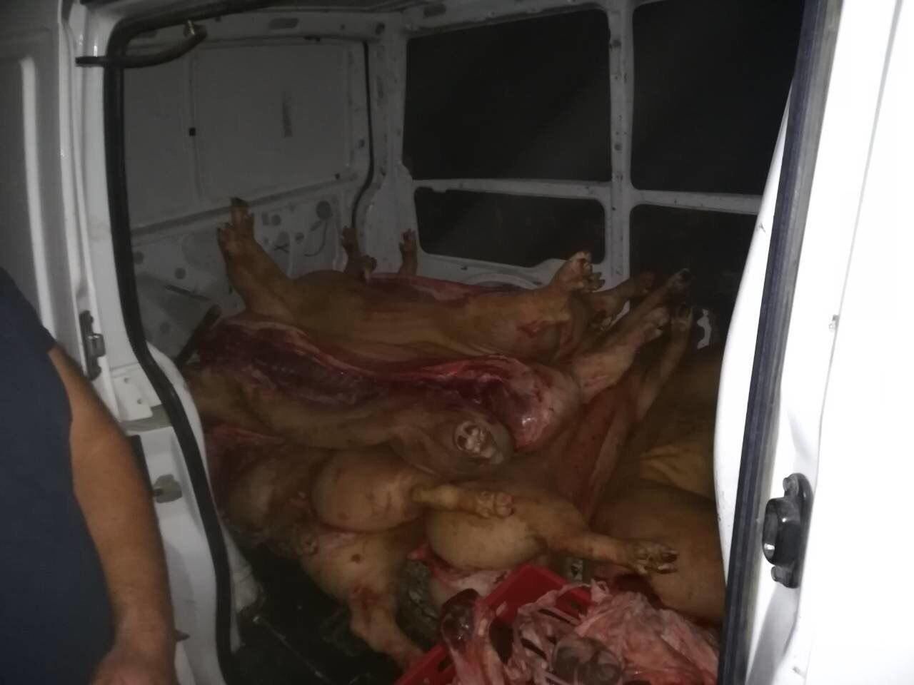Transporta ilegal 800 kg de carne de porc. Unde urma să ajungă