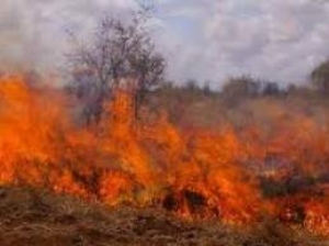 Serviciul Silvic de Stat împreună cu Serviciul Protecţiei Civile şi Situaţiilor Excepţionale atenţionează cetăţenii să nu dea foc vegetaţiei uscate