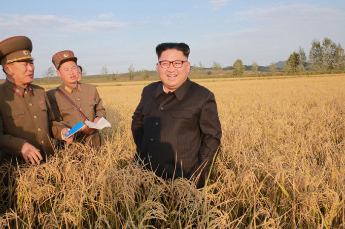 Kim Jong-un a vizitat o fermă, generalii au luat notițe în lanul de orze. 