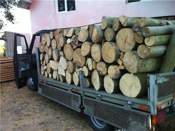 Volumul masei lemnoase de foc  care urmează a fi tăiat în semestrul patru se estimează la 173,6 mii de metri steri, pe când volumul anual este de 3-4 ori mai mare.