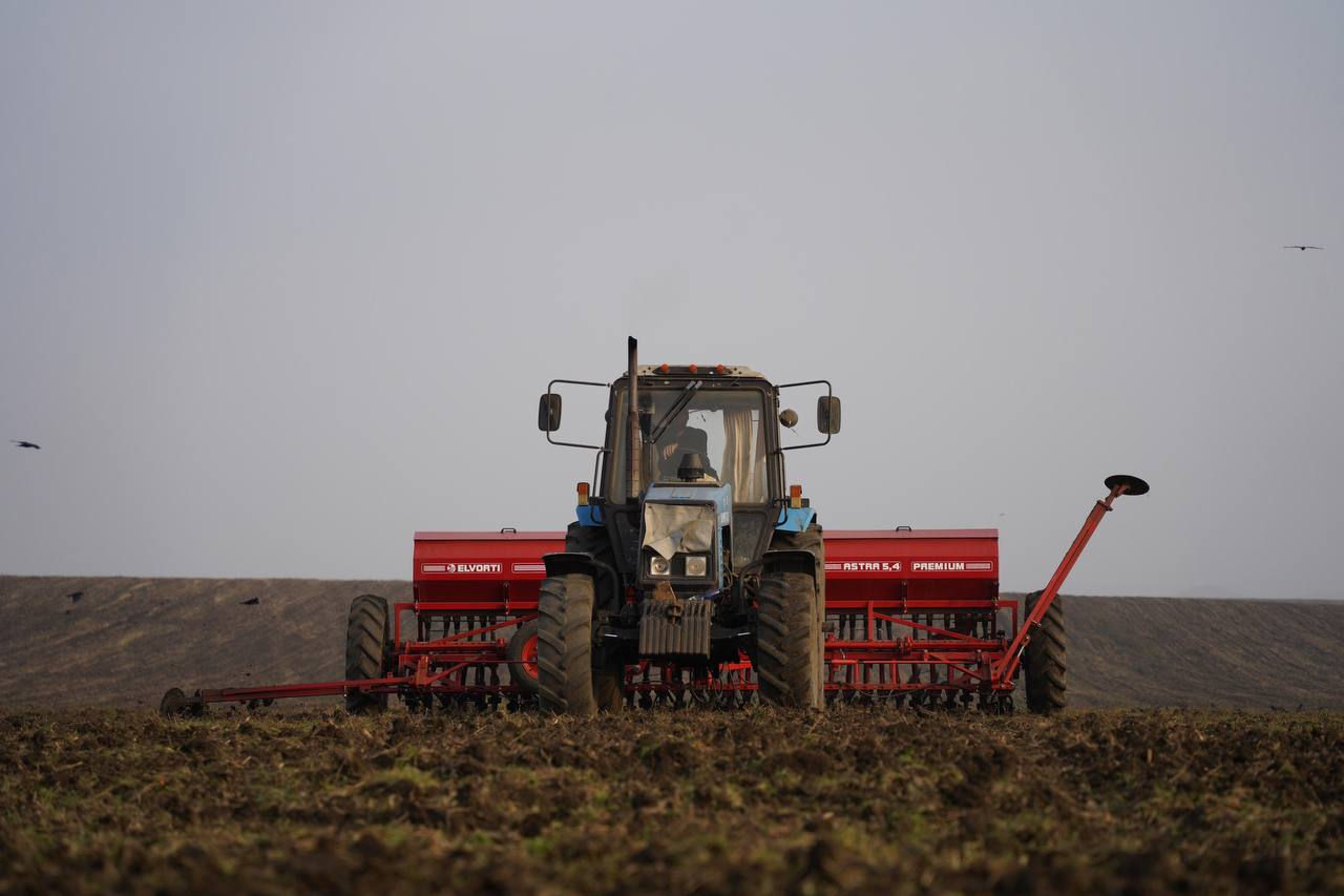 Un decembrie cald și umed va încetini recoltarea culturilor agricole de grupa a doua.