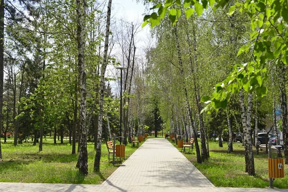Начались работы по обустройству сквера на улице Ивана Заикина.