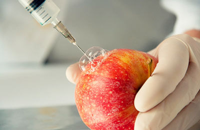 Производителей пищевых продуктов обяжут указывать на упаковке информацию о ГМО.