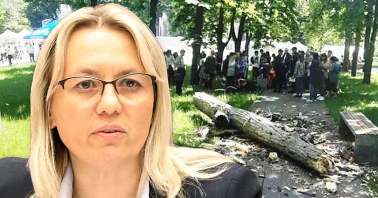 Кантараджиу о случае в парке: Примэрия превратила трагедию в политику. Коллаж: Point.md