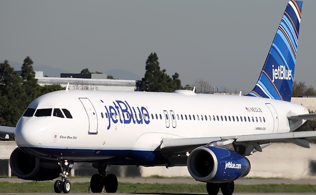 В результате инцидента, кроме птицы, никто не пострадал.  Фото: aviationweek.com