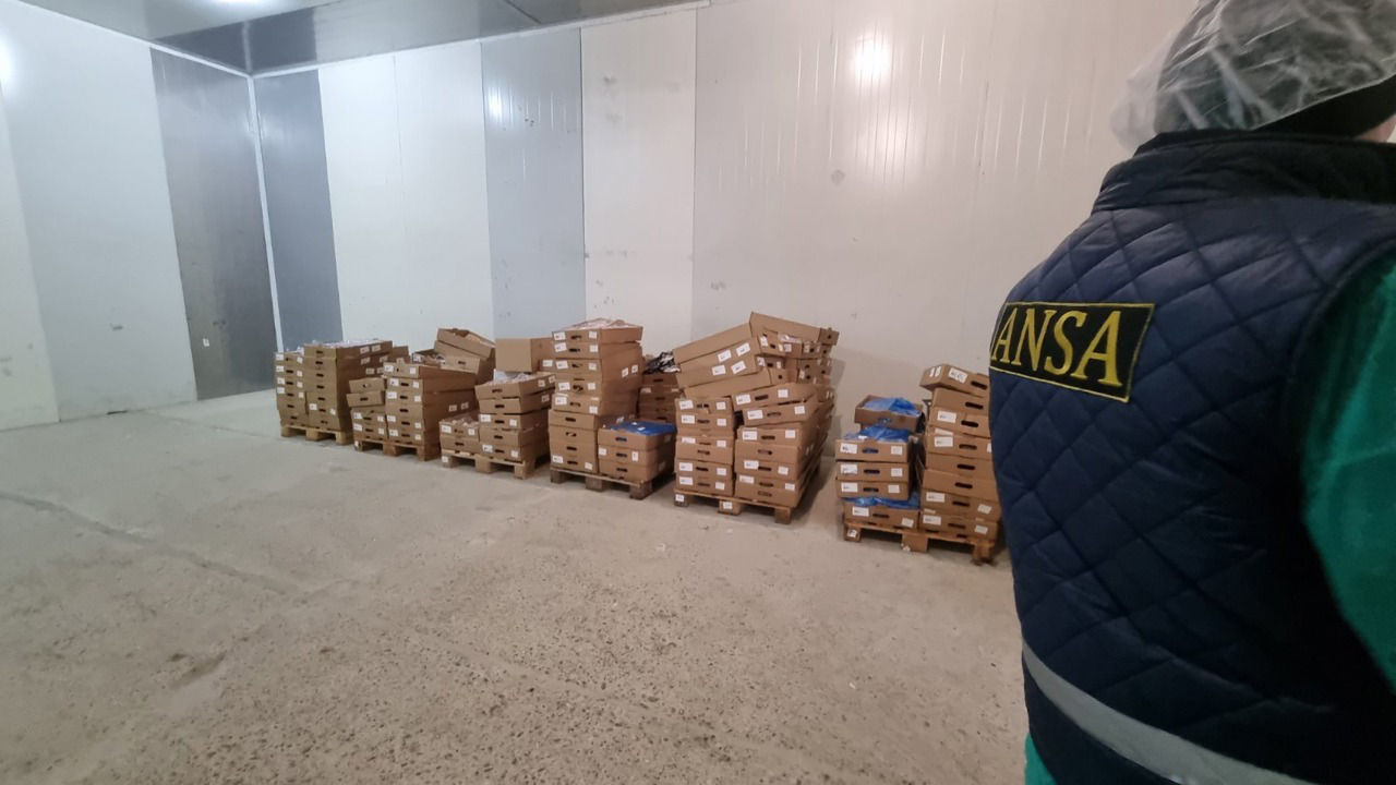 ANSA: Более 70% партии мяса индейки, импортированной из Румынии, изъято.